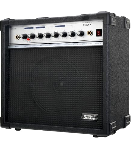 Roland JC-120 Jazz Chorus Ampli Guitare - Boîte ouverte