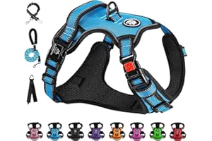 NESTROAD Imbracature con Pettorina Cane ad h Anti Tiro Blu per Cani Taglia Piccola, Taglia S per Piccola Cani con Collo 28~38CM Petto 38~53CM, Cintura Sicurezza Cani Auto, Accessori Cani Essenziali