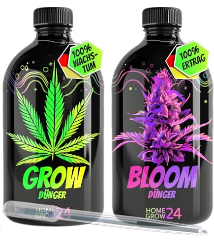 aloe broomii Aloe broomii