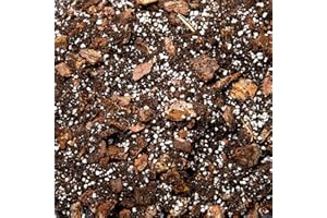 BHOMESCENT Premium Orchid Potting Mix – Fine Bark, Coco Coir & Perlite Orchid Soil for Repotting, Enriched with Organic Nutrients (3L)