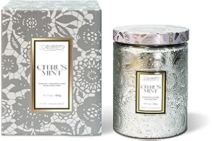 SALUBRITO Duża świeca do użytku na zewnątrz i wewnątrz, świece do aromaterapii w szkle, 400 g, naturalny wosk sojowy, świece zapachowe do domu, ogrodu, wewnątrz, na taras i kemping, piknik - cytrusowa