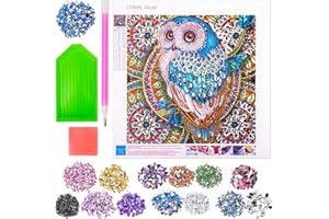 LITTLE GUY Cadeaux d'anniversaire pour Enfant Filles de 9 10 11 Ans, 5D Diamants Painting au Numéro pour Filles 7 8 9 10 11 12 13 Hibou Diamant Peinture Activités Manuelles, Cadeau