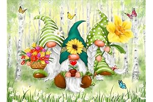 RICUVED Kits de Peinture Diamant de Gnomes, Kits de Peinture Diamant 5D Printemps Fleurs Adultes Diamants Ronds Kits de Peinture Diamant de Papillons Kits d'Art30x40cm