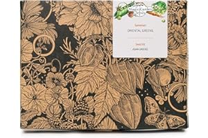 MAGIC GARDEN SEEDS Verdure orientali - Set regalo di semi con 5 verdure a foglia asiatiche molto sane