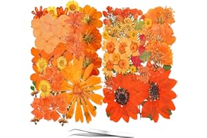 YouthBro 81PCS arancione secchi fiori pressati per resina vera natura fiori erbe set per gioielli fai da te candela vaso sapone fare carta per unghie scrapbook arte artigianato decorazioni floreali