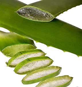 Aloe Vera Linn&eacute; Bl&auml;tter Bio (2 St&uuml;ck &agrave; 500 g)