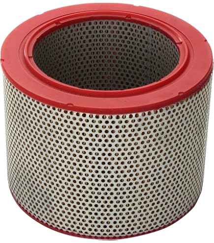 MANN-FILTER C 32 154/1 Filtro dell'aria - per Autovetture + veicoli commeriali