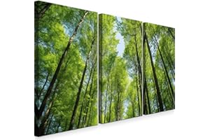 INTELIENZOS Cuadros Salon • Modernos • Lienzos decorativos • Decoración Pared • 120cm • Grande 3 piezas • Bosque Verde • Decoracion Dormitorios • Comedor • Oficina • Pasillo