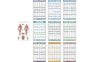 PALACE LEARNING QUICKFIT 10 Pack - Exercise Workout Poster Set - Dumbbell, Suspension, Kettlebell, Resistance Bands, Stretching, Bodyweight, Barbell, Yoga Poses, Exercise Ball, Muscular System Chart - (18" x 27")