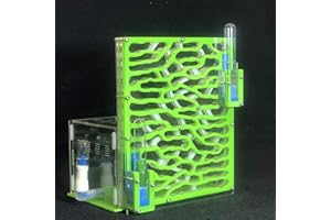 ANT GRAPE 6 strati Formica Uva Zona di alimentazione dell'umidità Fattoria di formiche Acryl Insect Villa Formiche Nido Villa Advanced Pet Mania for Forms House (green)