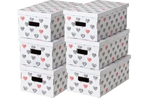 LAVATELLI Set di 6 Scatole in Cartone certificato Fsc, organizer armadio con coperchio, organizer per cambio stagione. 29x51x20cm, Cuori