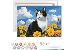LOMSIOY Peinture par Numéros pour Adulte avec Cadre, Chats DIY Peinture Acrylique pour Adultes Débutants, Fleurs Kit de Peinture à l'huile sur Toile pour Décoration Murale Maison 20x30cm