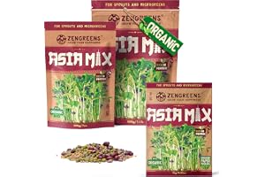 ZenGreens® - Eko asia groddfrö mix - Välj mellan 10, 200g och 500g - asia mix groddfrö - groddfrö mix för asiatisk mat - Microgreens - för groddburk