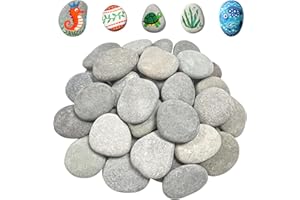 Flying Pottery 25 Pièces Galets Plats à Peindre,4-6 cm Cailloux pour Peinture,DIY Peintes Rocher,Convient pour Peindre, colorer et décorer Les Aquariums et Les Pots de Fleurs. (Gris)