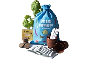 Scott&Co. Vegetable Seed Grow Your Own Kit, 10 Different Veg Seed Varieties, Carrots, Cabbage, Broccoli. Growing Guide, Seeds, Pots, Labels and Compost, Christmas Gifts for Women and Men