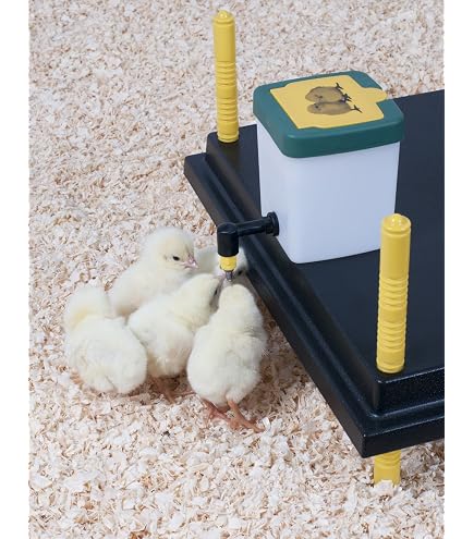Plaque Chauffante Pour Poussins - 25,4 X 25,4 Cm - Température Réglable 10-65°C - Alternative à La Lampe - Pour 15 Bébés Volailles - 7