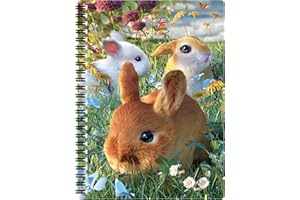 3D LiveLife Notatnik – Rabbids firmy Deluxebase 80-stronicowy notatnik 3D z soczewkowym królikiem, artykuły pa do szkoły lub biura, z licencjonowanymi ilustracjami artysty Davida Penfounda