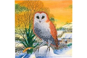 Craft Buddy DIY Crystal Christmas Card Kit (Winter Owl - Xmas 2020)