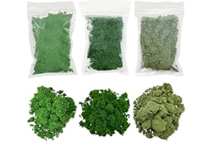 Woohome Alberi Modello, 3 Colori Polvere D'albero Miniatura Alberi Treno Kit Materiale di Base per Scenari Modello Alberi per Fai da Te Paesaggio Décor