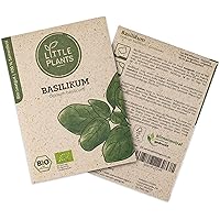 Little Plants BIO-Basilikumsamen (Ocimum basilicum) Genoveser | BIO-Kräutersamen | Nachhaltige Verpackung aus Graspapier…