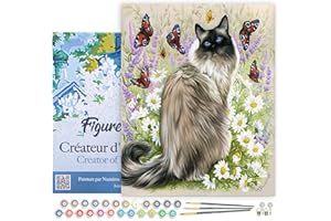 Figured'Art Pintar por Numeros Adultos con marco Descubrimiento de mariposas - Manualidades pintura acrilica Kit Cuadro DIY completo - 40x50cm con bastidor montado