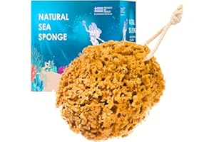 ‎JORDAN BENEDICT Jordan Benedict Natürlicher Meeresschwamm, Ungebleichter Badeschwamm mit Wabenstruktur, Peeling-Duschschwamm für Erwachsene, Groß Bio- und Naturschwamm (1 Stück)