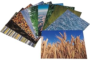 CRAFTPLAY Craft paper | Printed A4 paper | Collage paper | Pack of 40 sheets | Nature