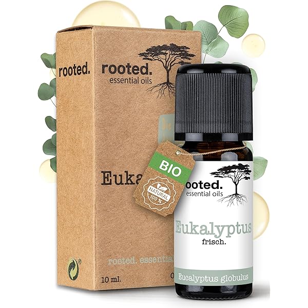 MENTHE POIVRÉE (Mentha Piperita) - Huile Essentielle BIO