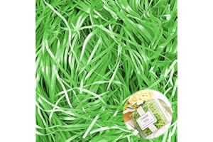 Hengrongshen Paglietta per Cesti,500g Shred Carta Velina Regalo di Alta Qualità,Decorazione Rafia Decorazione Confezione Regalo per Natale,Matrimonio,Anniversario,Festa di San Valentino (Verde Chiaro)