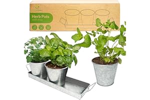 LEAFIMPACT Herb Planter Indoor | Grow Fresh Herbs at Home | Herb Pots for Kitchen & Windowsill | Kitchen Herb Garden | Indoor Herb Planter | Includes Drain Hole | Garden Pots for Basil, Mint, Parsley and More