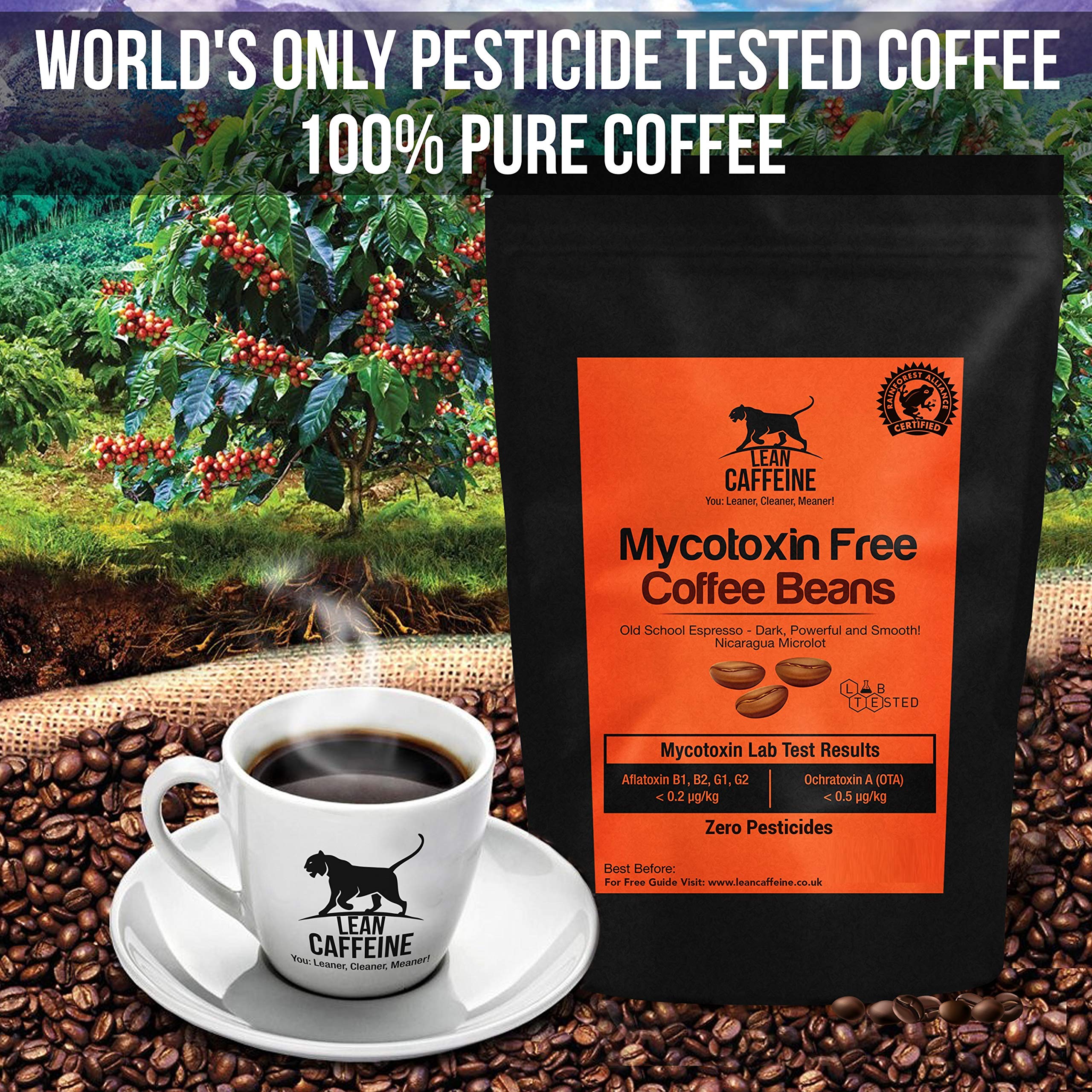 Lean Caffeine Nicaragua Coffee Beans Super Clean Mycotoxin Free