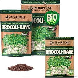 1 Kg De Graines De Brocoli BIO Pour Germes - Kamelur - Sans Additifs, Biodégradable - Pour Faire Des Pousses Maison, Alimentation Vivante