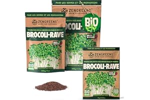 ZenGreens® - Graines de brocoli bio - Choisissez entre 10g, 200g et 500g - Graines de brocoli avec un taux de germination supérieur à 97% - Microgreens