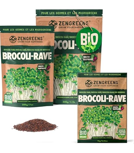 ZenGreens Graines De Blé Bio - Microgreens - Taux Germination >97% - 10g/200g/500g