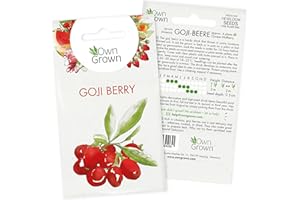 Grow Your own Goji Berry: Premium Goji Berry Seeds for ca. 4 Plants - Goji Berry Plant Seeds for Planting Berries - Chinese Wolfberry Superfood Fruit Seed – Chinese Boxthorn Garden Seeds by OwnGrown