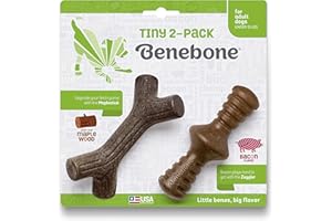 Benebone Tiny 2-pak niezniszczalnego klonu / zaggler dla agresywnych gryzaków, długotrwały trwały łamacz nudy dla psów, prawdziwy smak bekonu i drewna klonowego, dla bardzo małych psów, wyprodukowano