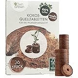 Kokos Quelltabletten mit Nährstoffen – 36 Stück, Kokoserde gepresst zur Pflanzen Anzucht ohne Pikieren, torffrei – Anzucht Er