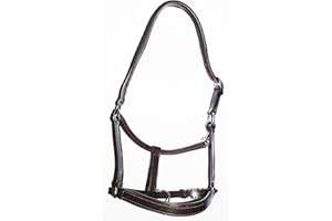 The Ragnar Collection Padded Leather Headcollar-Excellent Quality. Black & Havana in Pony,Cob & Full - FREE UK DELIVERY (HAVANA, PONY)