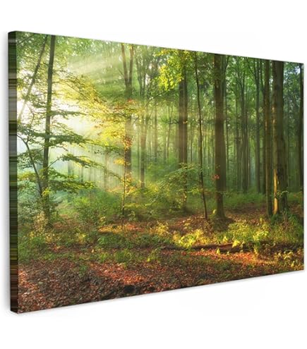Quadro Su Tela, Natura Dell'albero Della Foresta Paesaggistica - Foto 2