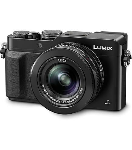 Panasonic Lumix DMC-LX100 Digital Cameras Black: Amazon.co.uk