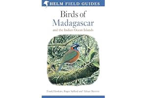 Field Guide to the Birds of Madagascar and the Indian Ocean Islands: Seychelles, Comoros, Mauritius, Reunion and Rodrigues