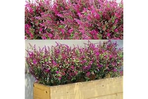 WILLBOND 12 confezioni di cespugli di lavanda artificiale fiori verde artificiale piante resistenti ai raggi UV per composizioni floreali, centrotavola, giardino casa (fucsia)