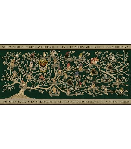 Clementoni Harry Potter Potter-1000 pièces-Puzzle Adulte-fabriqué e Clementoni Harry Potter Potter-1000 pièces-Puzzle Adulte-fabriqué e