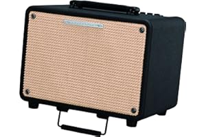 Ibanez T30 Troubadour Amplificateur acoustique Marron/noir 30 W