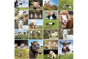 ANIMALI DELLA FATTORIA Set di cartoline (PECORA, MAIALE, MUCCA, CAVALLO, GATTO, ecc.) 20 motivi diversi da Edition Colibri