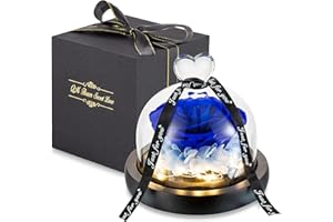 GLASSEAM Bella Bestia Rosa En Cúpula De Vidrio Luces LED Batería Seda Eterna Para Siempre Rosa Encantada Romántico Cumpleaños Regalo Para Tu Boda Aniversario Regalos Para San Valentín Novia Esposa Azul