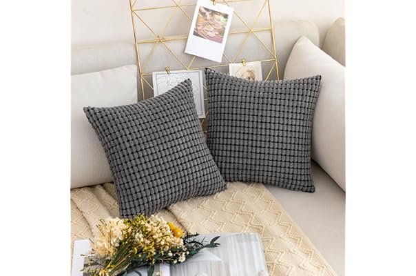 amazon pillows for sofa