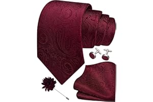 Gusleson 3.15"（8cm） Mens Tie and Lapel Pin Paisley Necktie Hankerchief Cufflinks Set for Men