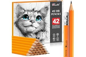 DRAWLISH HB Pencils with Rubbers on the End - Pack of 42 Sketching Pencils with Soft Corner Hexagonal Shape - Graphite Pencil Set for Kids, Artists & Professional