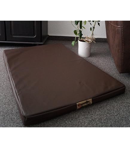 Hundebettenmanufaktur Hondenmat, hondenmatras, mat, aan beide zijden kunstleer, schuim, 3 cm, verschillende maten en kleuren naar keuze, 100 cm x 70 cm, bruin Hundebettenmanufaktur Hondenmat, hondenmatras, mat, aan beide zijden kunstleer, schuim, 3 cm, verschillende maten en kleuren naar keuze, 100 cm x 70 cm, bruin